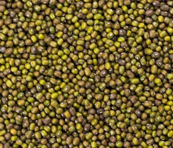 Uzagrotrade Green Mung Beans 3